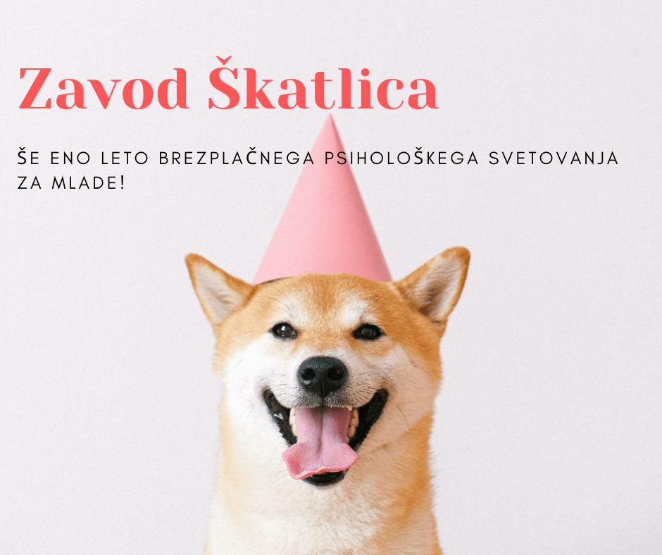 Zavod Škatlica - psihološko svetovanje za mlade